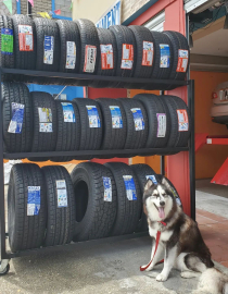 Z1 Automotive Center