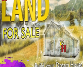 Land for sale from 800 k near Palmiste Sfdo call 738-8767