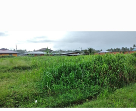 Cedros 5,268 sq ft land only 240 k call 738-8767
