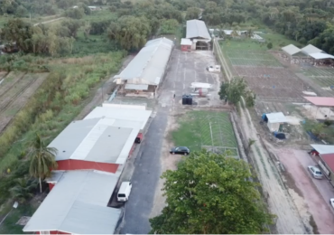 Chicken farm for sale 4 m / 3 acres call 738-8767