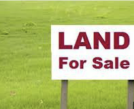 Agriculture land for sale 2 acres 275 k call 738-8767