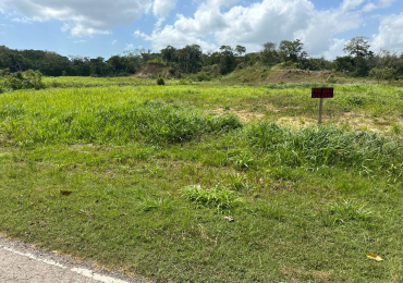 Siparia murray trace rd 6 lots for sale call 738-8767 2 m ono