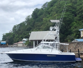Trojan 33 ft for sale call 1-868-738-8767